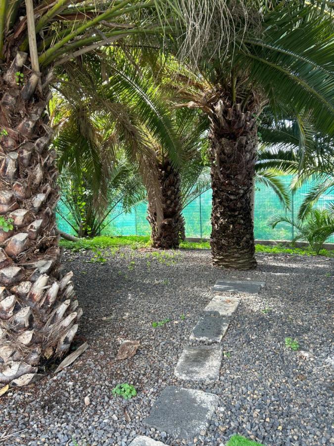 Casa Beatriz Villa La Orotava Dış mekan fotoğraf